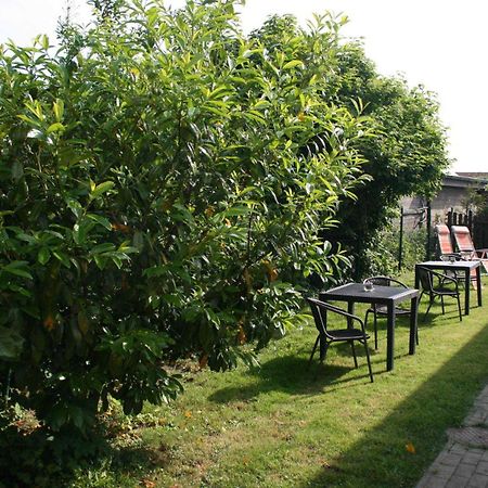 Ferienwohnungen Haus Mecklenburg Elmenhorst/Lichtenhagen Екстериор снимка